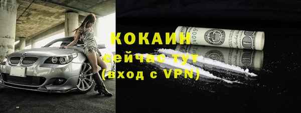 твердый Протвино