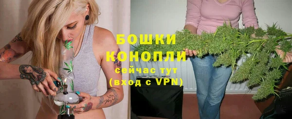 твердый Протвино